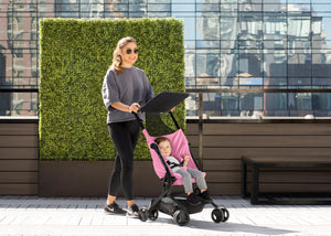 Pink (2021) 11-The Clutch Stroller