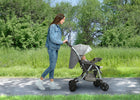 Grey Tweed (2012) 1-Unlimited Reversible Handle Stroller