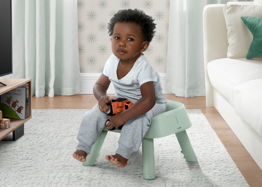 Sage Green (2446) 7-Milestone 6-in-1 High Chair