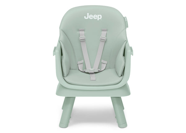 Sage Green (2446) 12 - Mobile