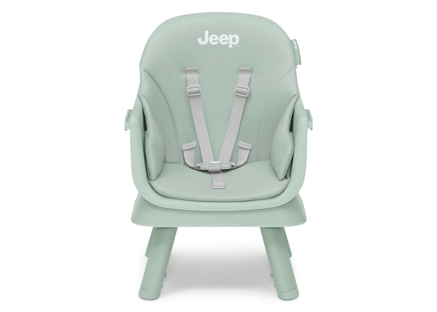 Sage Green (2446) 12-Milestone 6-in-1 High Chair