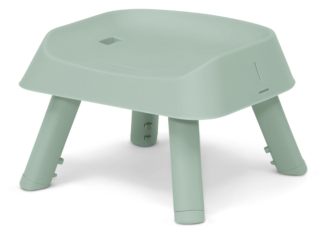 Sage Green (2446) 13 - Carousel