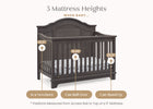 Rustic Grey (084) 5-Asher 6-in-1 Convertible Crib