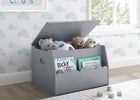 Gray toy box with stuffed animals and books in a child's room 24-Cloud Toy Box