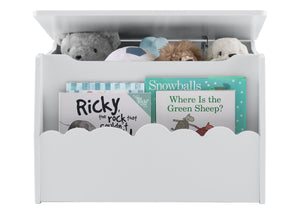 True White (151) 5-Cloud Toy Box