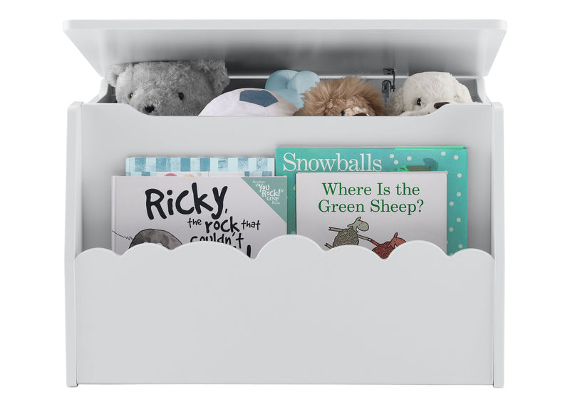 Toy storage box with stuffed animals and children's books on a white background 10-Cloud Toy Box
