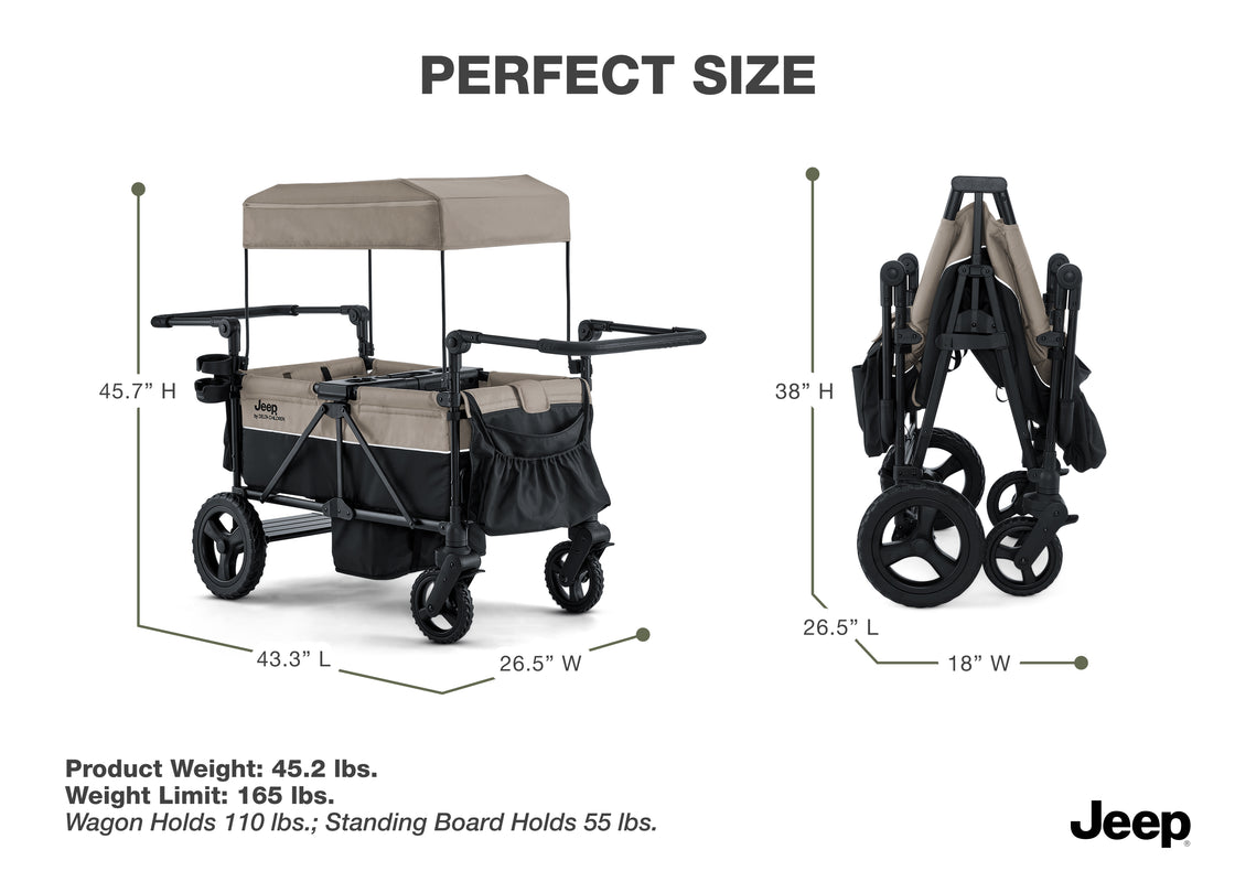 Black and Tan (2473) 11 - Carousel