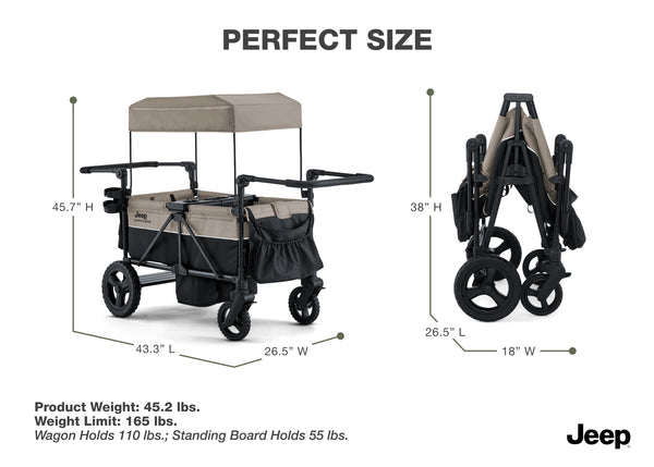 Black and Tan (2473) 11 - Mobile