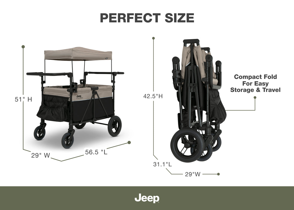 Black and Tan (2473)