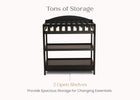 Ebony (0011) 11-Wilmington Changing Table