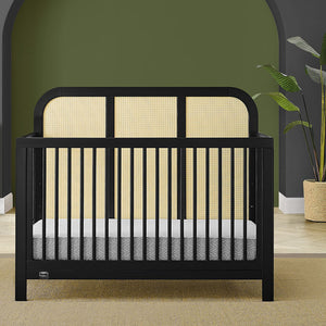 Theo Collection 7-Theo Collection
