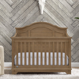 Asher Collection 10-Asher Collection