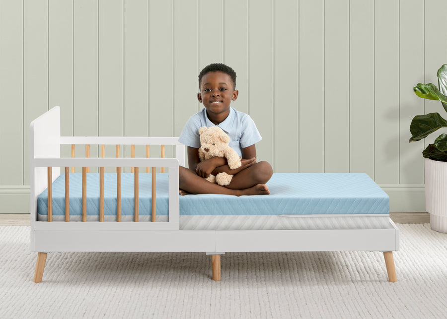 No Color (NO) 2-Ionic Breathe Crib and Toddler Mattress with Cloud Core