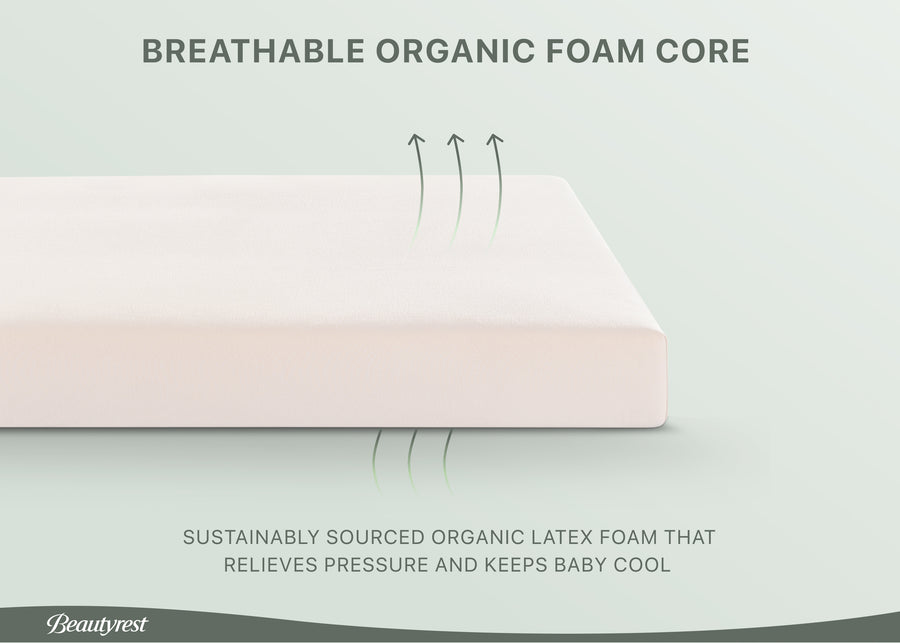 No Color (No) 5-PureEarth Certified Organic Crib and Toddler Mattress