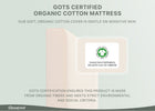 No Color (No) 6-PureEarth Certified Organic Crib and Toddler Mattress