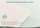 No Color (No) 7-PureEarth Certified Organic Crib and Toddler Mattress