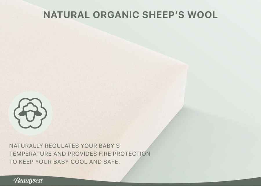 No Color (No) 7-PureEarth Certified Organic Crib and Toddler Mattress