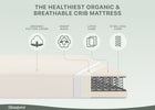 No Color (No) 10-PureEarth Certified Organic Crib and Toddler Mattress