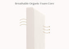 No Color (NO) 6-CleanEarth Certified Organic Crib and Toddler Mattress