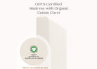 No Color (NO) 4-CleanEarth Certified Organic Crib and Toddler Mattress