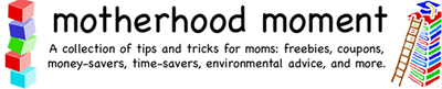 Motherhood Moment LOGO