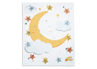 Moon (1288) 6-Milestone Baby Blanket