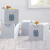 SS8155GP 3243 bins blue lifestyle 101 13-babyGap 4-Pack Brannan Bear Fabric Storage Bins with Handles