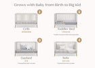 Bianca White with Natural (123) 3-Essex 4-in-1 Convertible Crib
