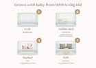 Light Sage (389) 35-Nest 4-in-1 Convertible Crib