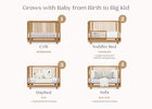 Acorn (755) 3-Nest 4-in-1 Convertible Crib