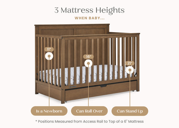 Chestnut (836) 5 - Mobile