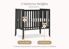 Ebony (0011) 46-Lee Portable Folding Mini Crib with 1.5-Inch Mattress