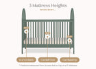 Grassy Glen (357) 5-Eloise 4-in-1 Convertible Crib