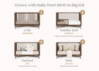 Teak Brown (1526) 22-Dylan 4-in-1 Convertible Crib