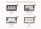 Midnight Grey with Natural (1372) 3-Jordan 4-in-1 Convertible Crib