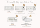 Moonstruck Grey (1351) 19-Alice 5-in-1 Convertible Crib and Changer