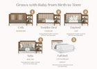 Chestnut (836) 3-Ellie 5-in-1 Convertible Crib and Changer