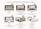 Walnut Espresso (1324) 59-Casey 6-in-1 Convertible Crib