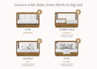 Acorn (755) 3-James Acrylic 4-in-1 Convertible Crib