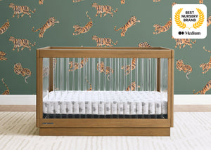 Acorn (755) 2-James Acrylic 4-in-1 Convertible Crib