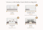 Bianca White with Natural (123) 20-Frankie 4-in-1 Convertible Crib