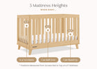 Natural (746) 38-Frankie 4-in-1 Convertible Crib