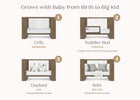 Aged Oak (845) 3-Aerin 4-in-1 Convertible Crib