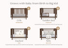 Teak Brown (1526) 28-Noah 4-in-1 Convertible Crib