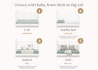 Bianca White (130) 3-Serena 4-in-1 Convertible Crib