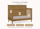 Acorn (755) 4-Penelope 6-in-1 Convertible Crib