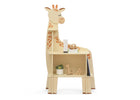 Assorted (999) 2-Giraffe Bookcase