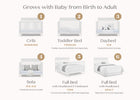 Bianca White (130) 3-Elliot 6-in-1 Convertible Crib