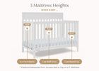 Bianca White (130) 5-Elliot 6-in-1 Convertible Crib