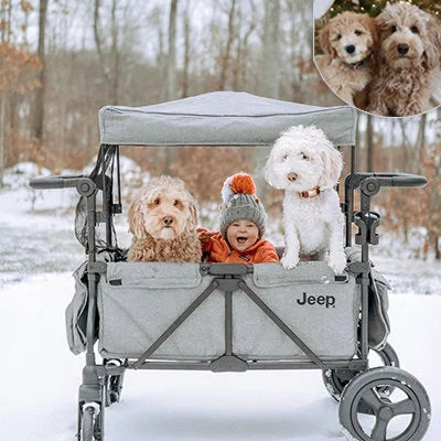 Mr.CruiserGDoodle's Instagram